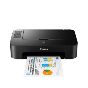 Canon PIXMA TS 207 Inkjet Printer